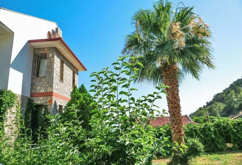 Fotos del hotel Sertil Deluxe  & Spa  Adult Only:  24