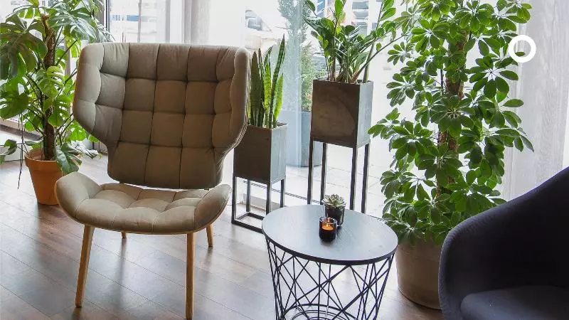 Fotos del hotel Midgardur By Center Hotels:  2