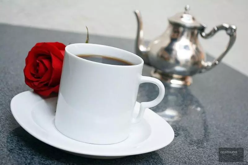 Fotos del hotel Gertrudis:  6