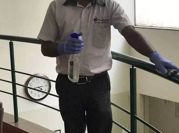 Fotos del hotel Pearlsuites:  9