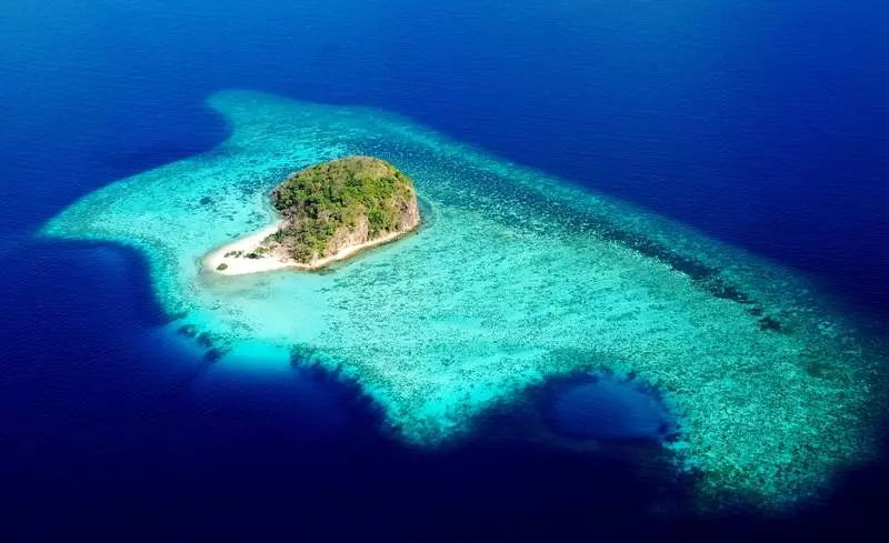 Fotos del hotel The Funny Lion:  9