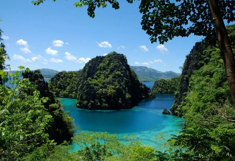 Fotos del hotel The Funny Lion:  5