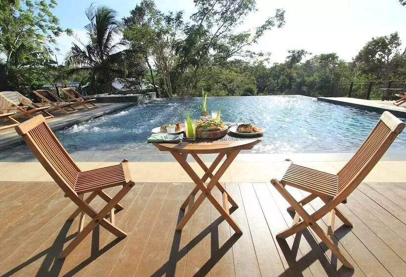 Fotos del hotel The Funny Lion:  20