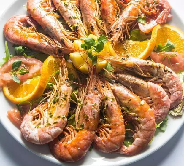 Fotos del hotel Paguera Treff Boutique:  3