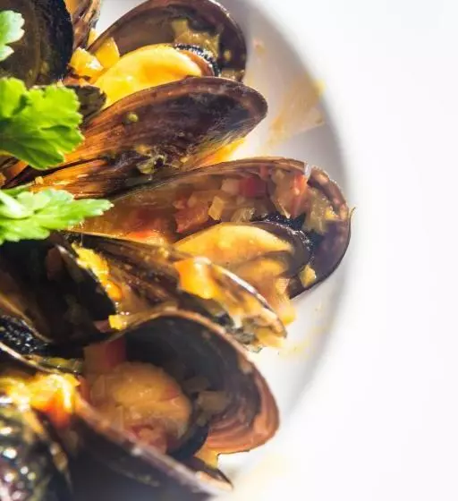 Fotos del hotel Paguera Treff Boutique:  20