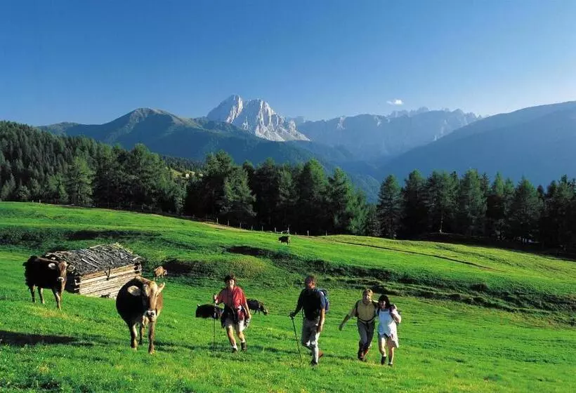 Fotos del hotel Rosental:  19