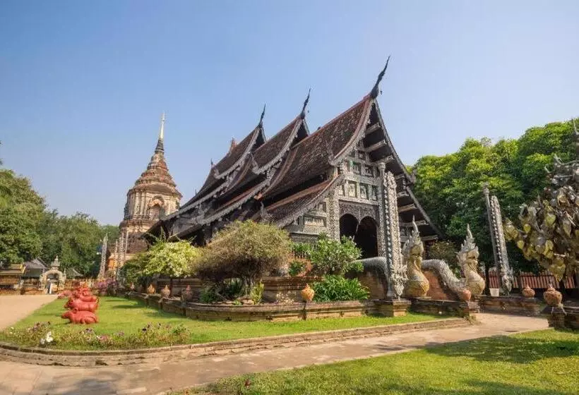 Fotos del hotel Sunshine House:  13