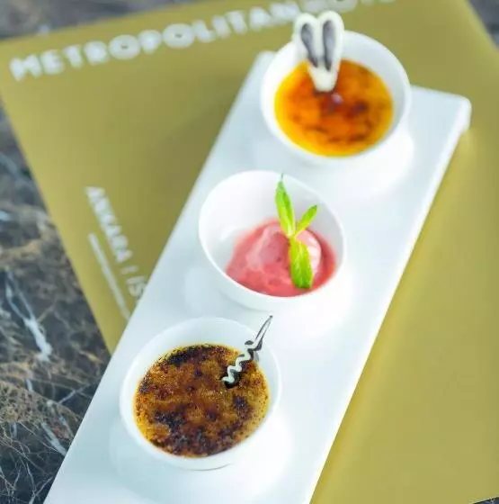 Fotos del hotel Metropolitan S Taksim:  17