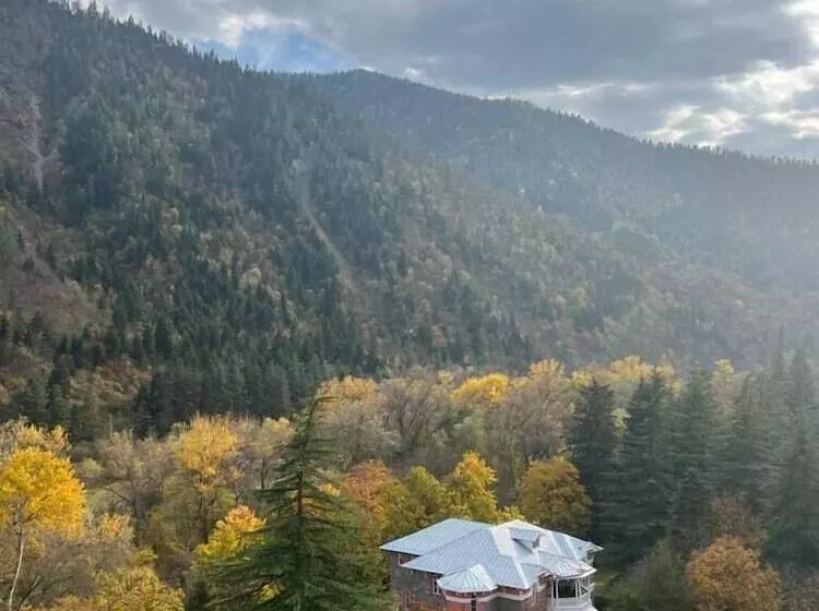 Fotos del hotel Borjomi Likani Health & Spa Centre:  4