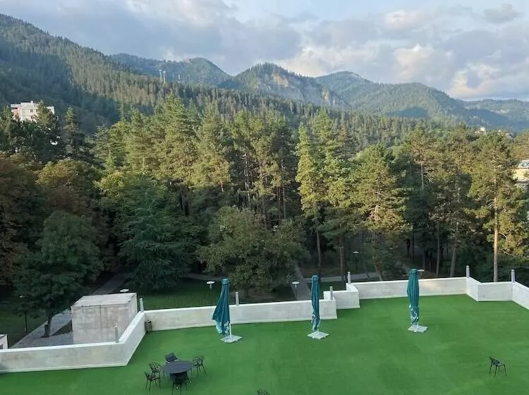 Fotos del hotel Borjomi Likani Health & Spa Centre:  12