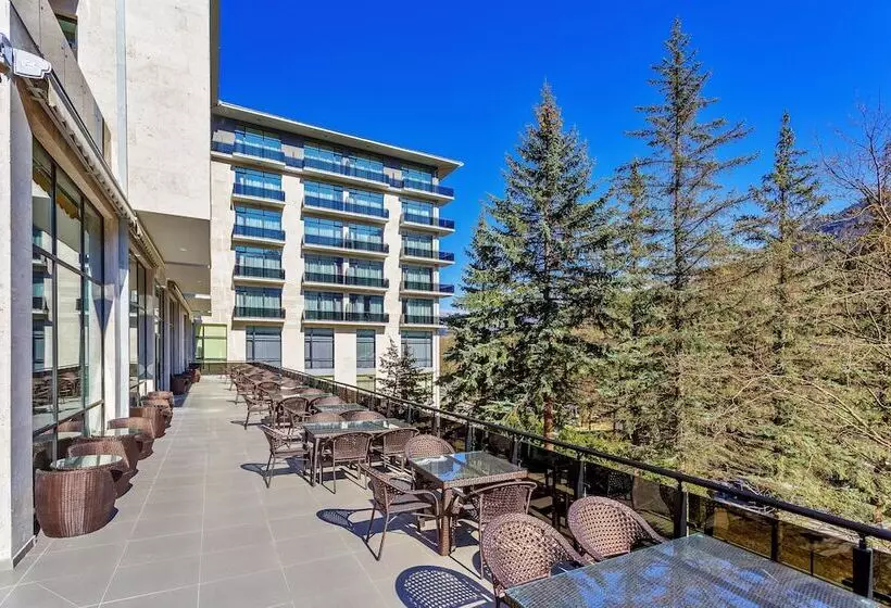 Fotos del hotel Borjomi Likani Health & Spa Centre:  10