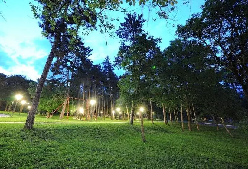 Fotos del hotel Borjomi Likani Health & Spa Centre:  11