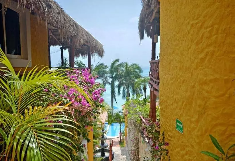 Fotos del hotel La Joya Isla Mujeres:  24