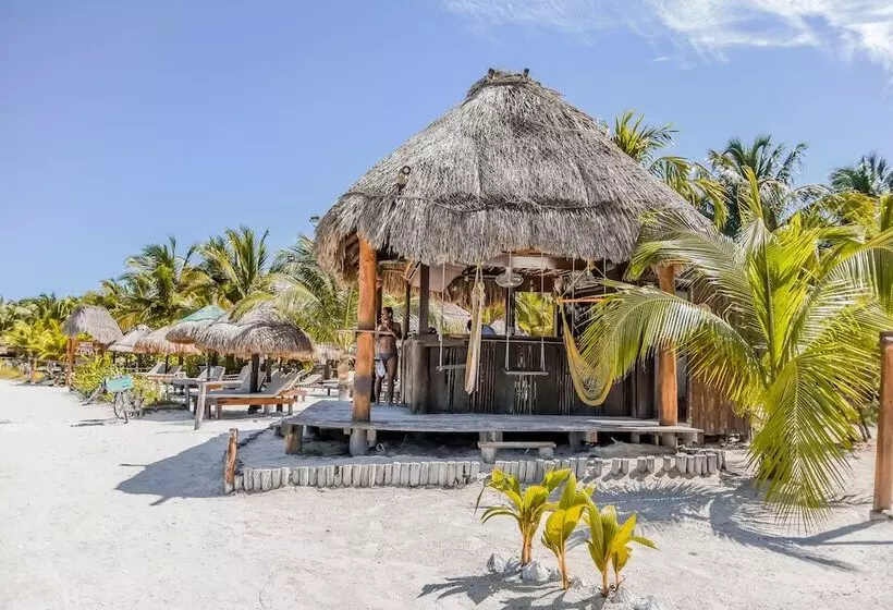 Fotos del hotel Zomay Beachfront Holbox:  3