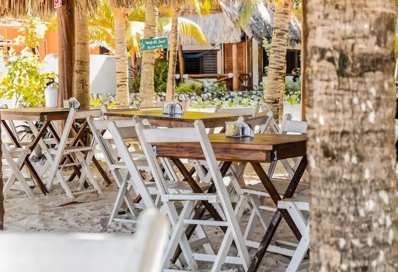 Fotos del hotel Zomay Beachfront Holbox:  5