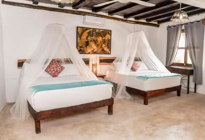 Fotos del hotel Zomay Beachfront Holbox:  20