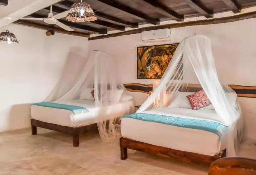 Fotos del hotel Zomay Beachfront Holbox:  9