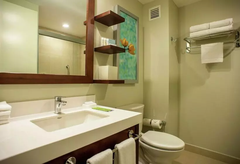 Fotos del hotel Hampton Inn By Hilton Merida:  7