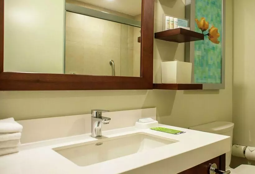 Fotos del hotel Hampton Inn By Hilton Merida:  13