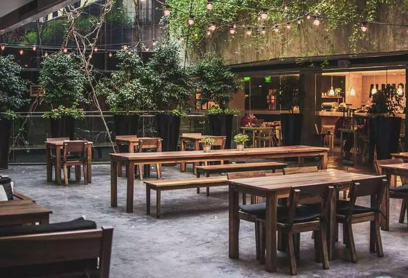 Fotos del hotel Anselmo Buenos Aires, Curio Collection By Hilton:  21