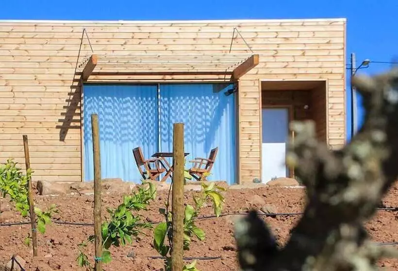 Fotos del hotel Vale D Azenha  Rural & Residences:  19