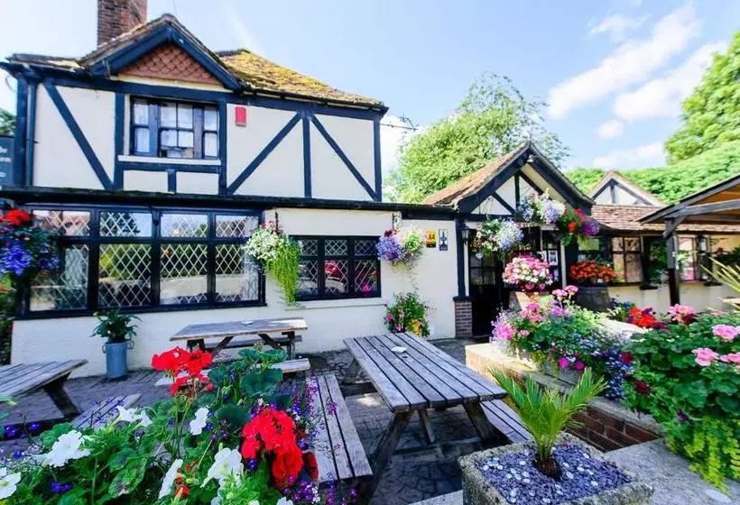 Fotos del hotel Ye Olde Red Lion:  6