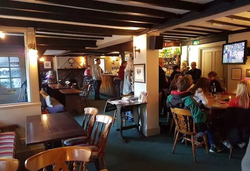 Fotos del hotel Ye Olde Red Lion:  8