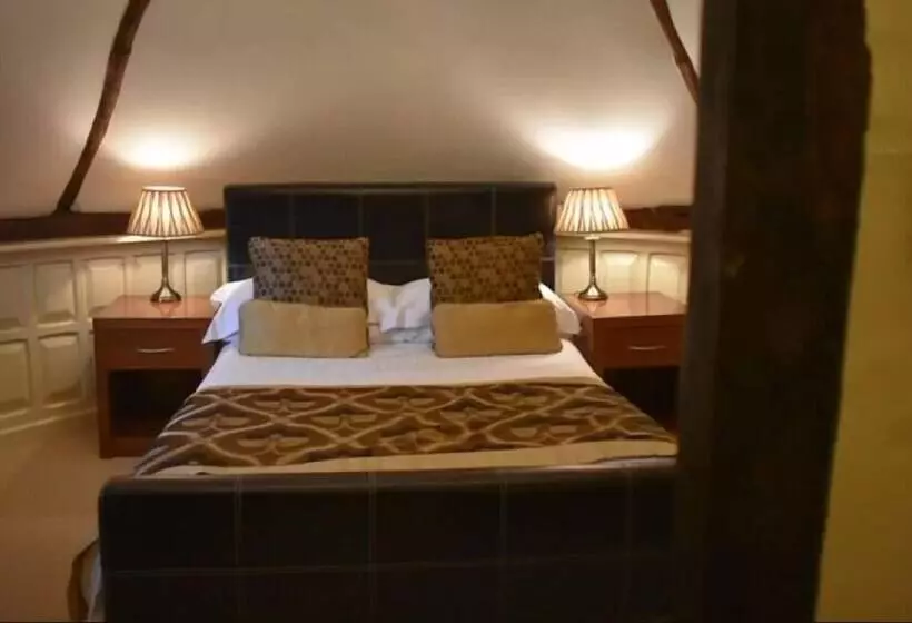 Fotos del hotel Ye Olde Red Lion:  14