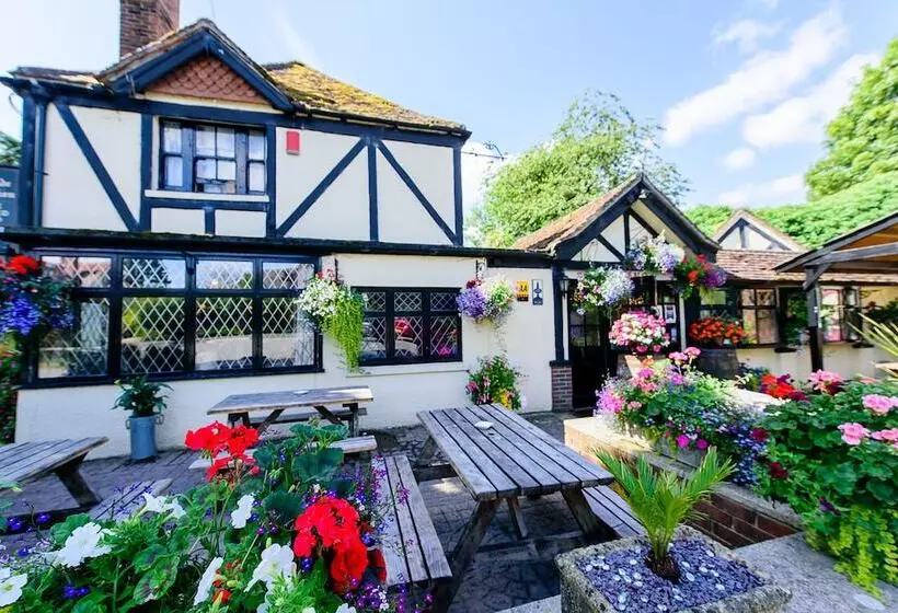 Fotos del hotel Ye Olde Red Lion:  9