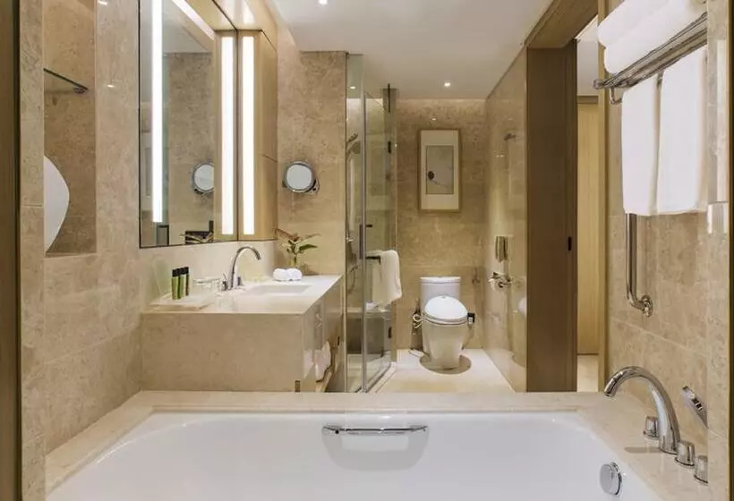 Fotos del hotel Holiday Inn Nanjing Qinhuai South Suites, An Ihg:  5