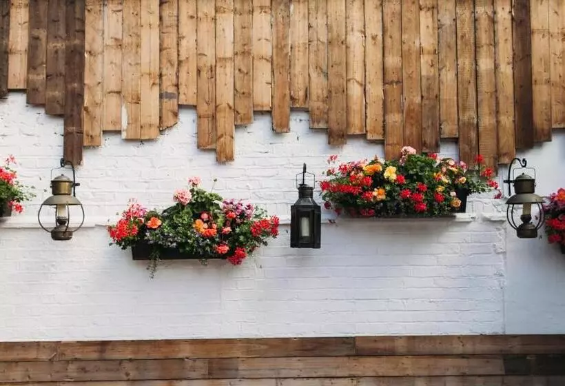 Fotos del hotel The Captain Cook:  10