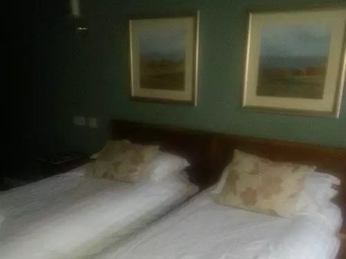 Fotos del hotel The Red Lion:  4