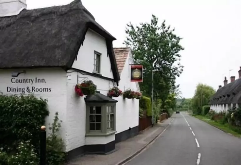 Fotos del hotel Golden Ball:  6