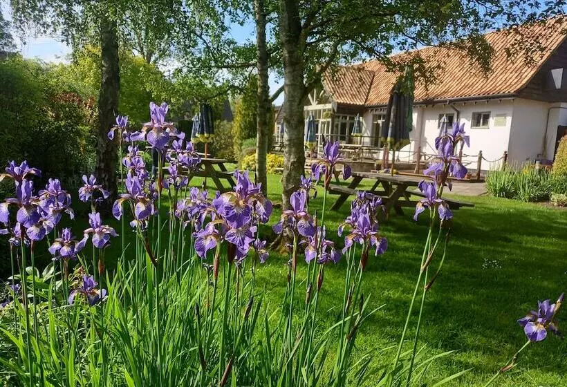 Fotos del hotel Golden Ball:  10