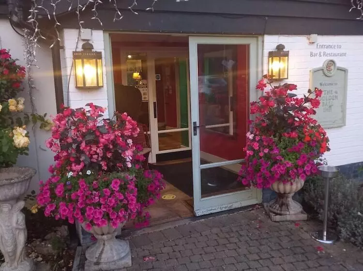 Fotos del hotel Golden Ball:  9