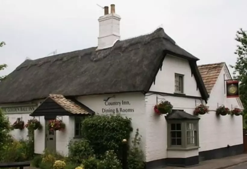 Fotos del hotel Golden Ball:  11