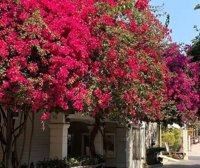 Fotos del hotel Delio Boutique:  14