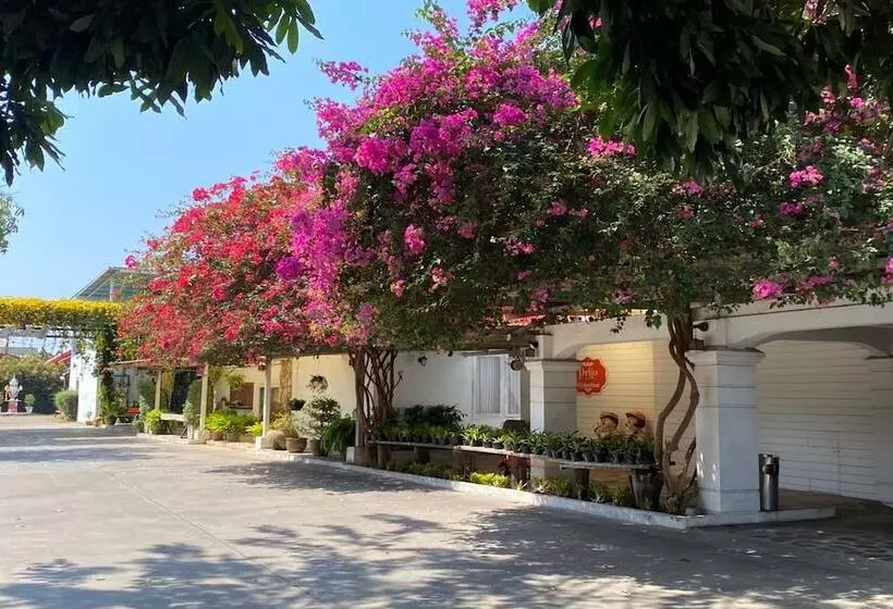 Fotos del hotel Delio Boutique:  25