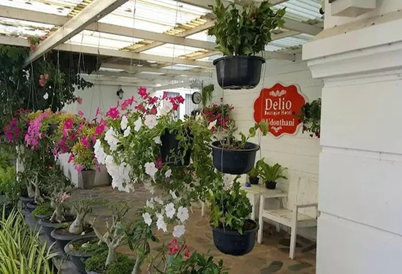 Fotos del hotel Delio Boutique:  8