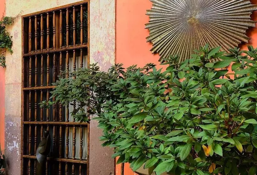 Fotos del hotel Casa Eugenia:  19