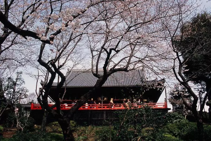 Fotos del hotel Dormy Inn Ueno Okachimachi:  17