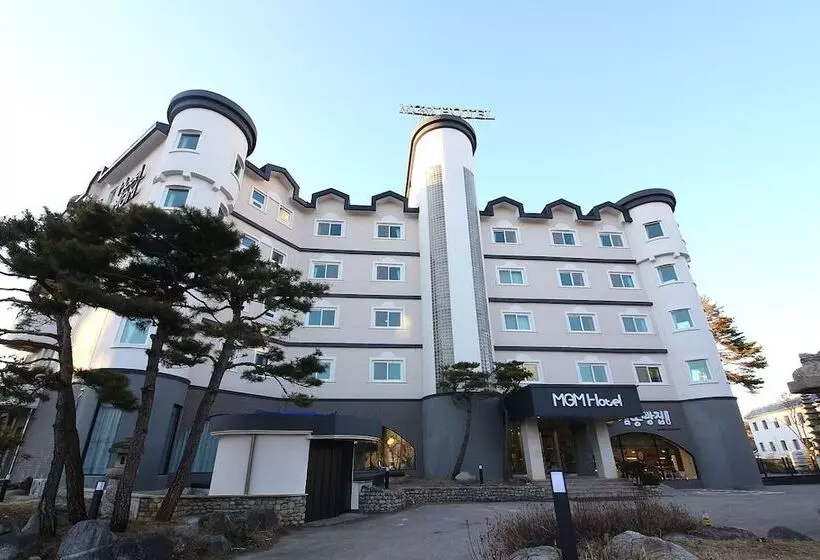 Fotos del hotel Mgm:  17