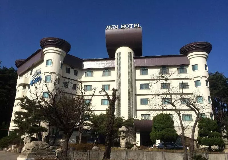 Fotos del hotel Mgm:  7