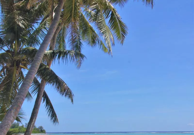 Fotos del hotel Muri Beach Resort:  9