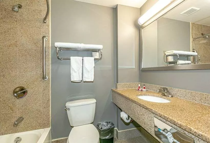 Fotos del hotel Days Inn & Suites Ozone Park Jfk Airport:  2