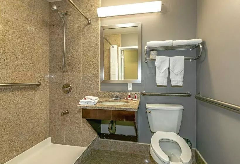 Fotos del hotel Days Inn & Suites Ozone Park Jfk Airport:  7