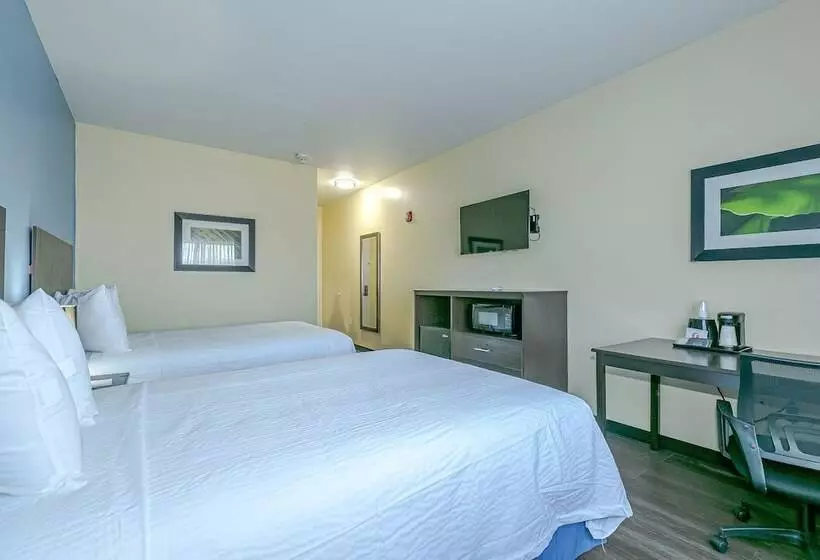 Fotos del hotel Days Inn & Suites Ozone Park Jfk Airport:  14
