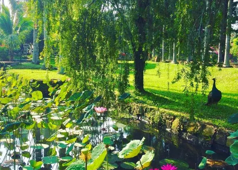 Fotos del hotel Les Hameaux De L Orient:  23