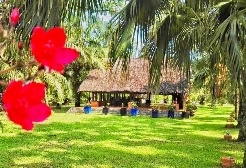 Fotos del hotel Les Hameaux De L Orient:  14