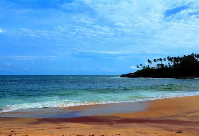 Fotos del hotel Sole Luna Resort & Spa:  7